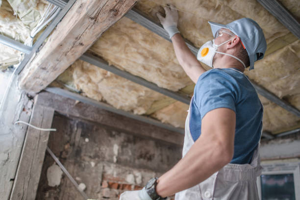 Best Commercial Insulation in Frazee, MN