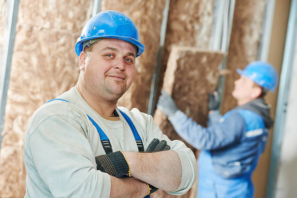 Best Commercial Insulation in Frazee, MN